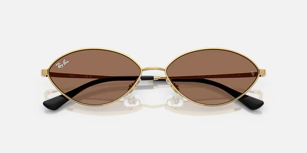 Ray-Ban Kai Bio-Based Sunglasses - Gold/Dark Brown