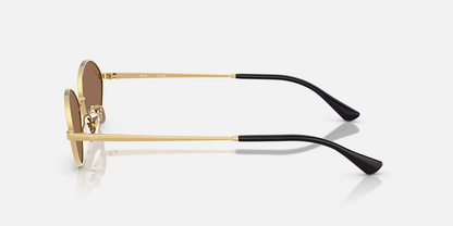 Ray-Ban Kai Bio-Based Sunglasses - Gold/Dark Brown