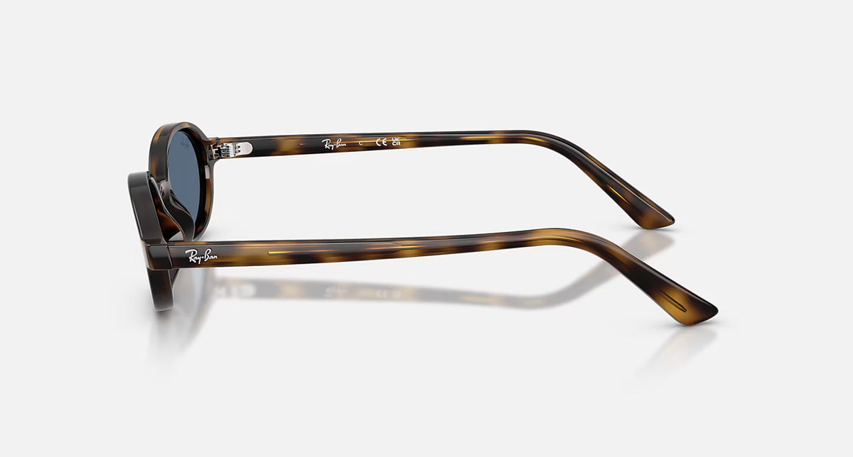 Ray Ban Khal - Bio Based in Polished Blue Havana