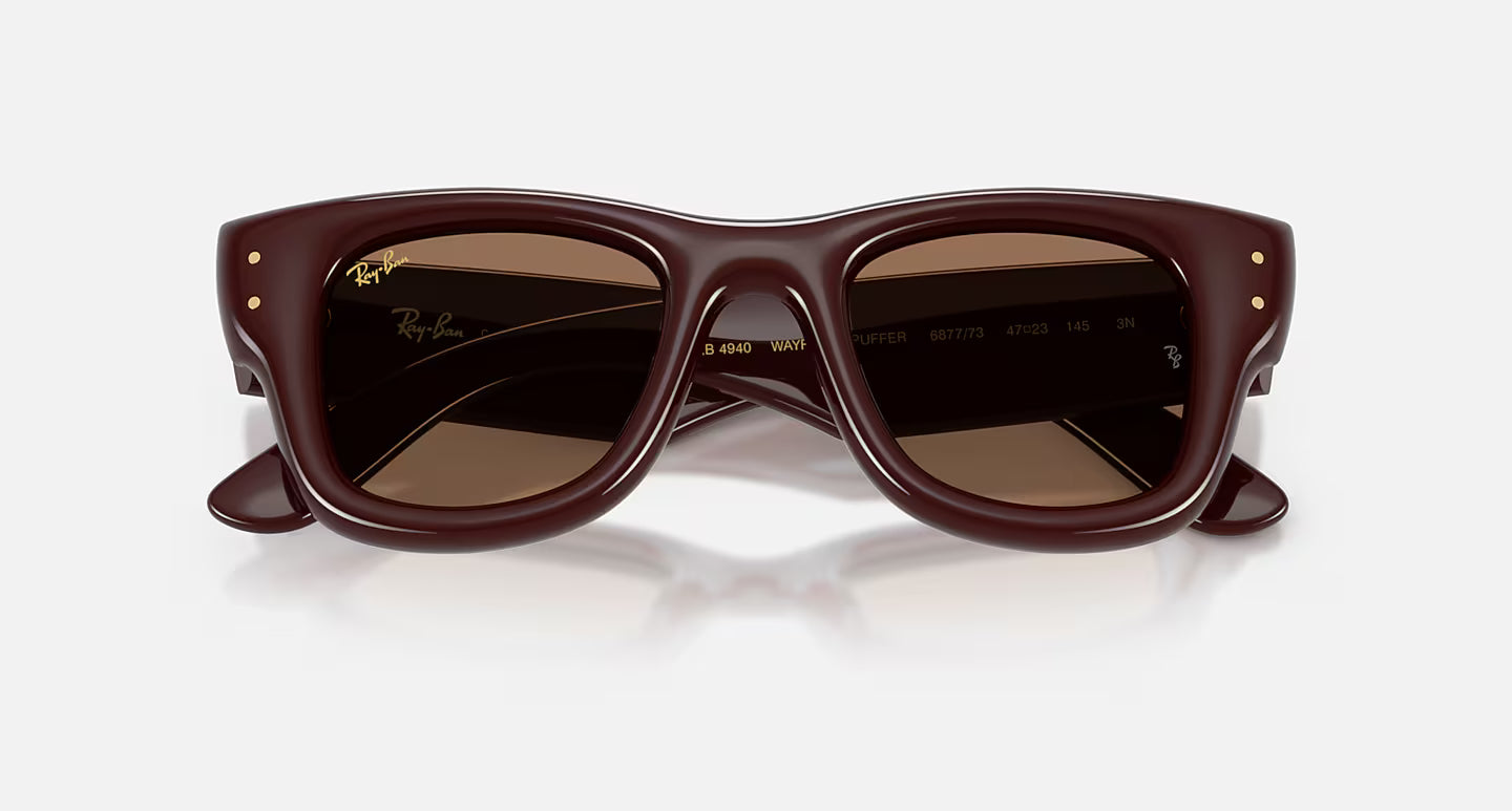 Ray-Ban Wayfarer Puffer - Polished Dark Brown/Dark Brown