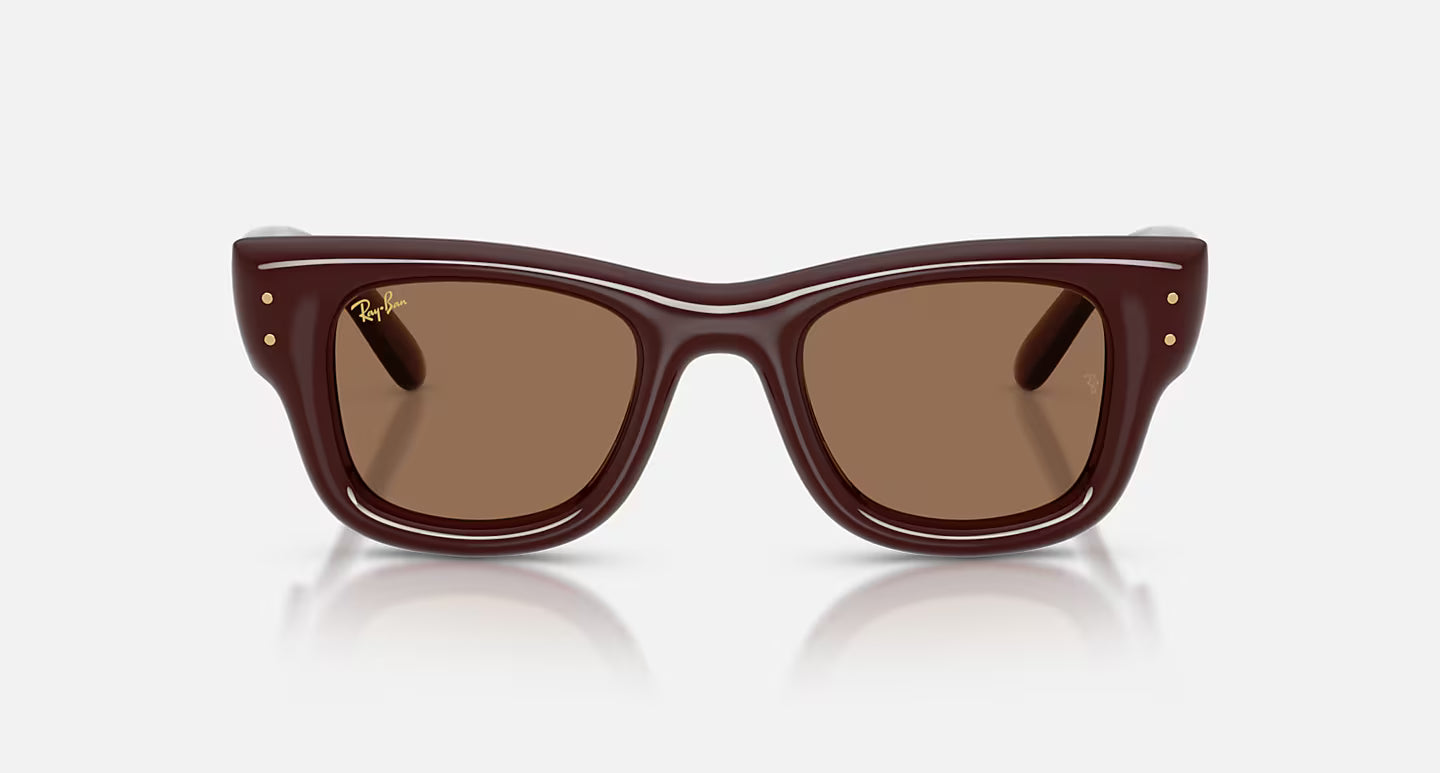 Ray-Ban Wayfarer Puffer - Polished Dark Brown/Dark Brown